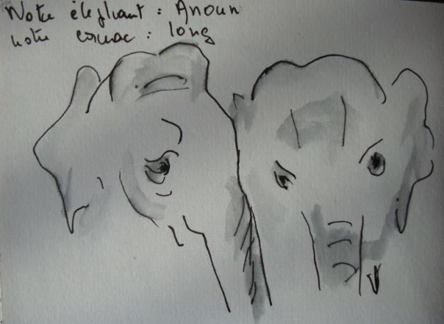 029 - Les éléphants du Mékong